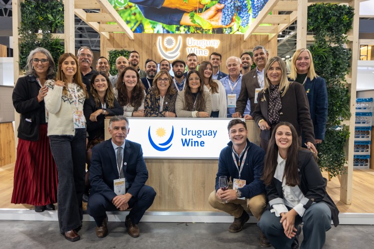 Uruguay consolida su vino en el mundo: estrategia, identidad y futuro en juego