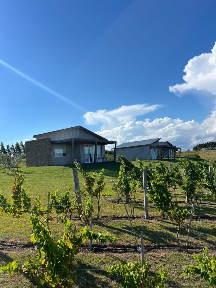 Buenos Vientos: nuevo hotel rural en Maldonado