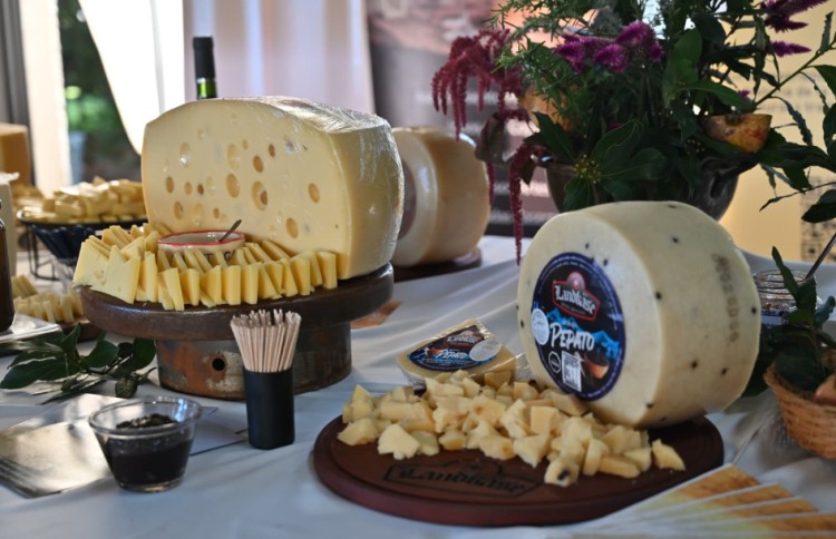Quesos uruguayos: sabores que invitan a recorrer el pa&iacute;s