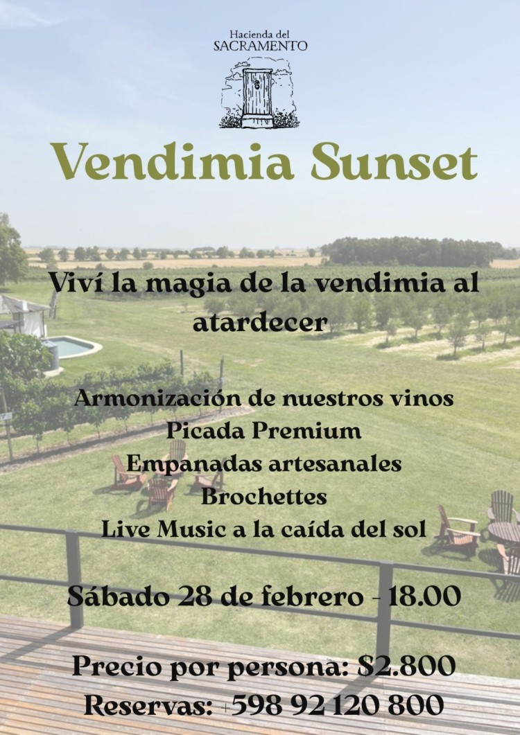 Vendimia Sunset: la experiencia de cosechar y degustar vino en Colonia