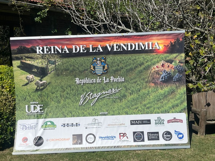 Vendimia en La Puebla: tradici&oacute;n, liderazgo femenino y el modelo innovador de H. Stagnari